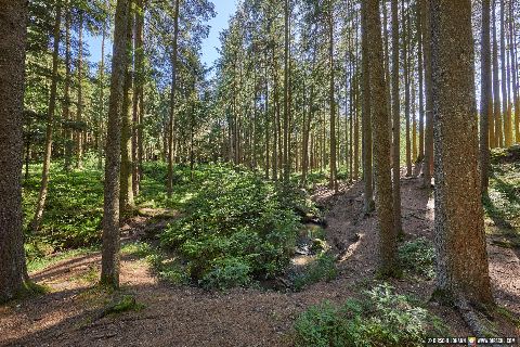 Gemeinde Pfarrkirchen Landkreis Rottal-Inn Krebsenbach (Dirschl Johann) Deutschland PAN